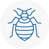 Bed Bug Extermination In Hengoed